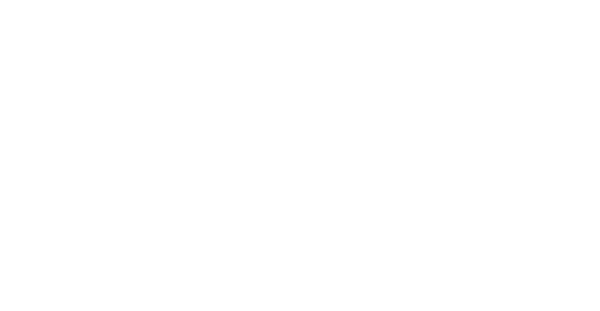 Camel Active